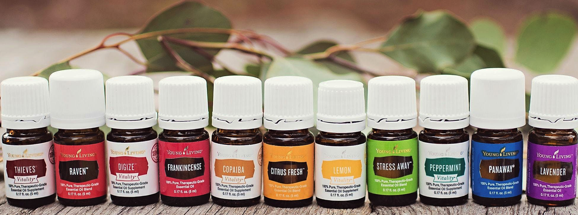 Young Living Essential Oils Troy Ohio